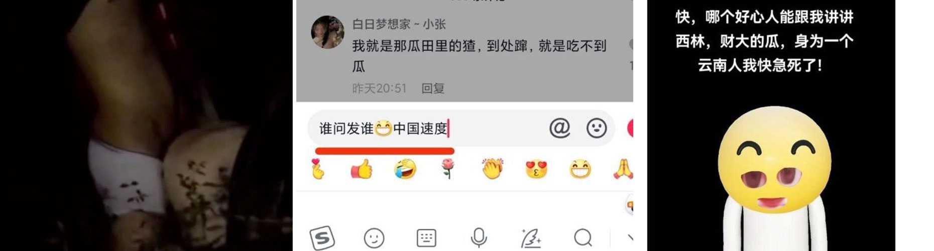 西南林业大学 小树林情侣事件